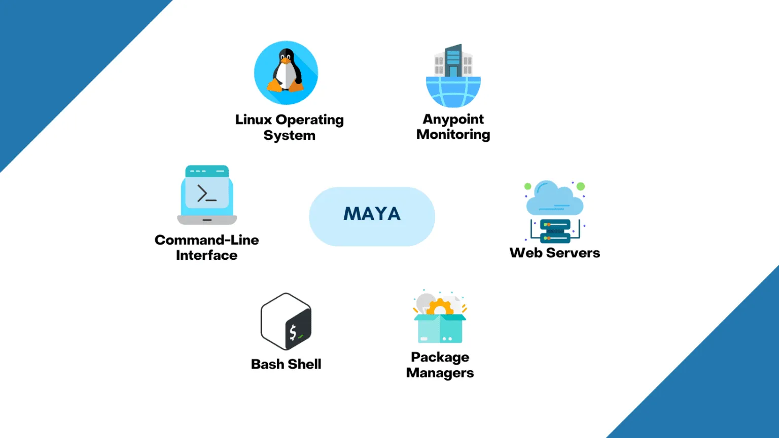 3D Maya Course Tools & Platforms